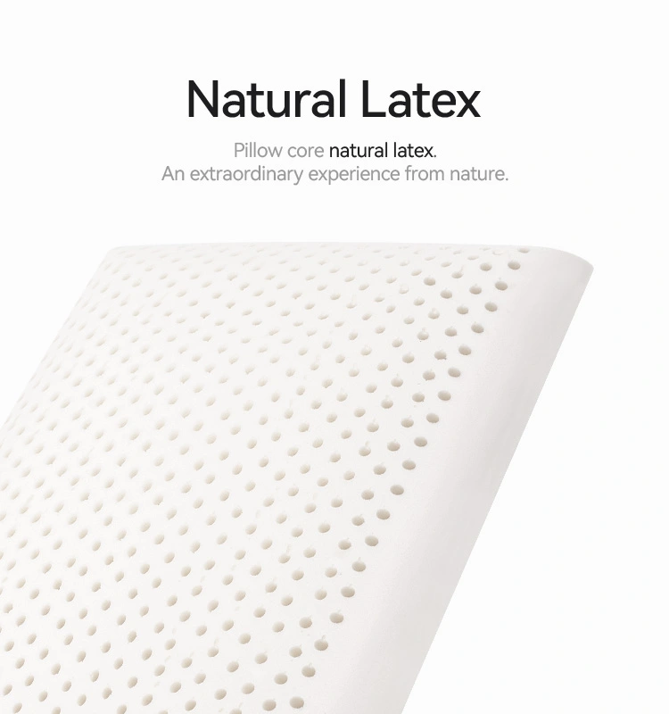 High Thickness Latex Bread Pillow